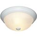 Decorative 2 Light 11 inch White Flushmount Ceiling Light in White Alabaster, Small